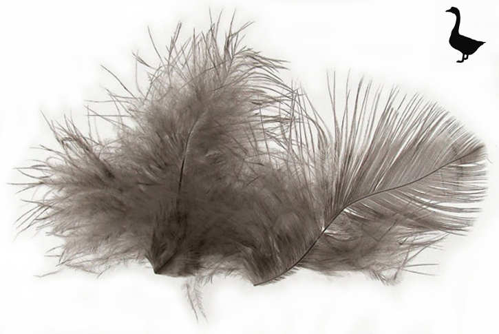 grey-goose-feathers-used
